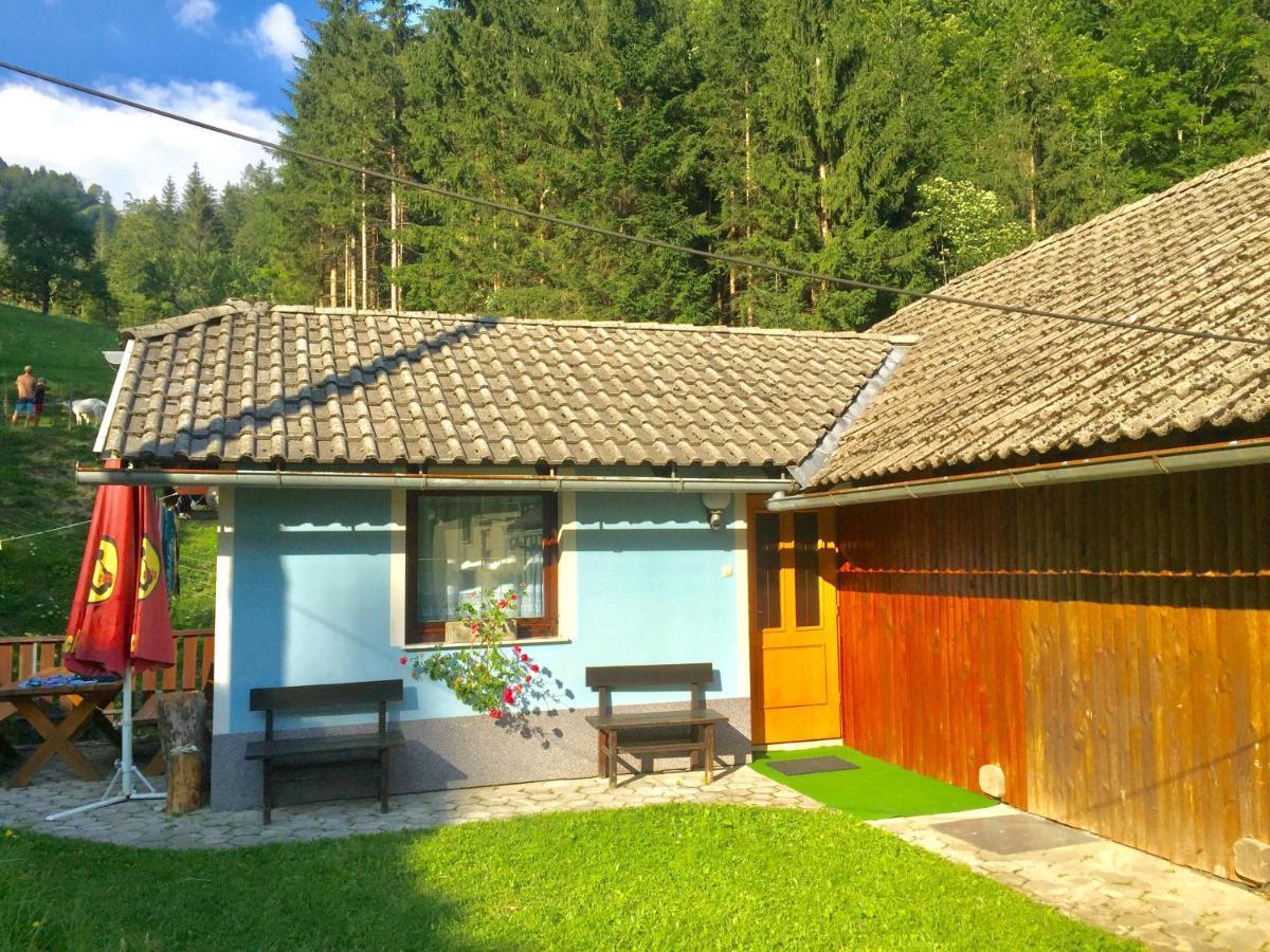 Apartment Tisa Солчава Экстерьер фото