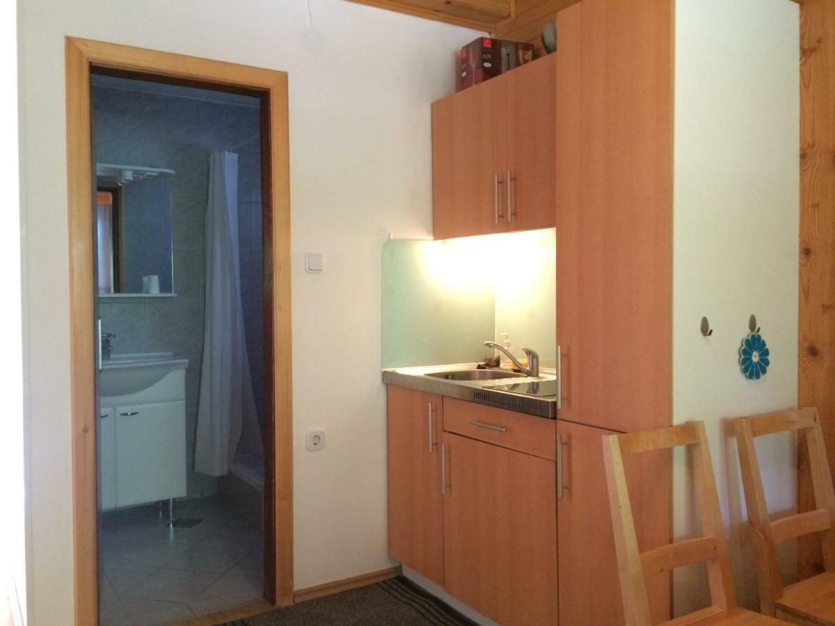 Apartment Tisa Солчава Экстерьер фото